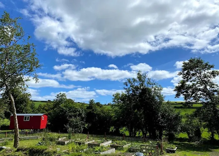 Dom wakacyjny Ballyroe