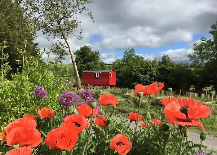 Holiday home Ballyroe *